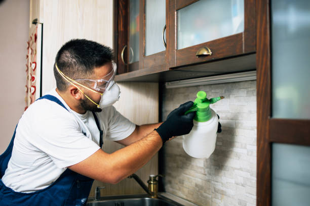 Best Rat Extermination Near Me  in Ptland, OR