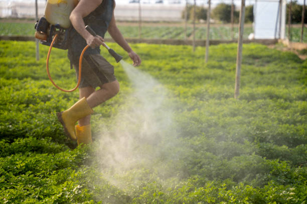 Reliable Portland, OR Pest Control Solutions