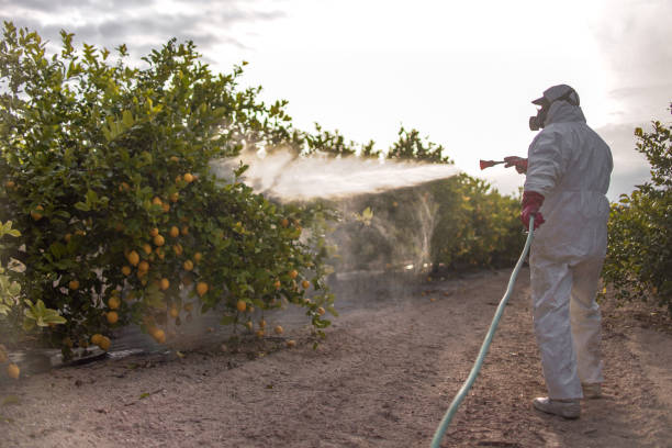Best Pest Control Near Me in Portland, OR