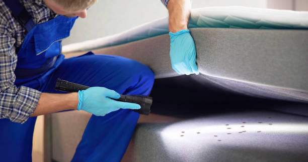 Pest Prevention Services in Portland, OR