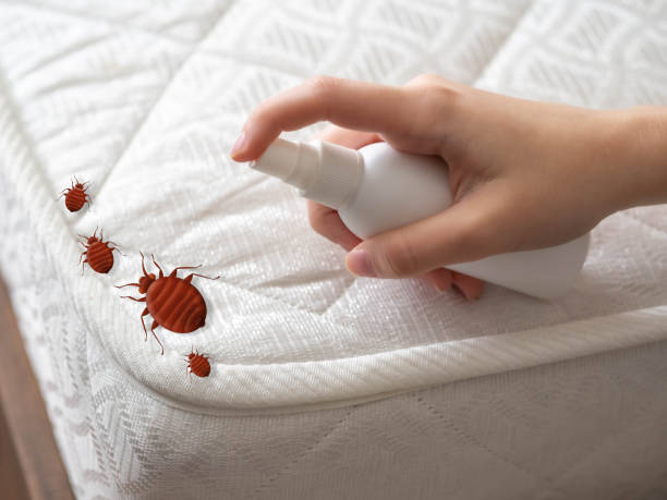 Pest Control Cost in Portland, OR
